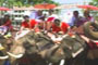 wedding ceremony by elephant riding